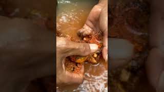 PENEMUAN BONGKAHAN EMAS BESAR #goldnugget  #goldpanning  #shorts