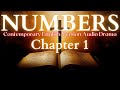 Numbers Chapter 1 Contemporary English Audio Drama (CEV)