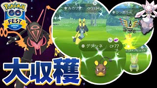 推しポケの色違いたくさん！GOFest2023大阪の結果報告をするよ！【ポケモンGO】