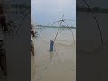 amazing net fishing video