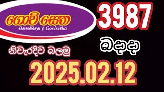 Govisetha 3987 #2025.02.12 #lottery #results #Lottery #Lotherai #dinum_anka #3987 #NLB