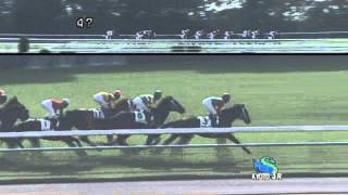 2011/10/29 京都3R　2歳未勝利　ピュアソウル