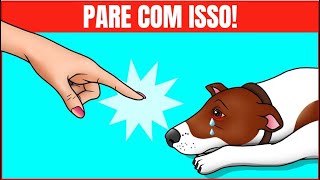 16 Maneiras Que Você Está Machucando Seu Cão Sem Perceber