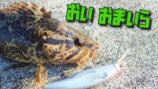 日本人なら魚を食えタケノコメバル編