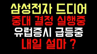 삼성전자 중대한 결정 실행중 유럽증시 급등중 내일 설마?