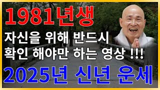 2025년 1981년생 대박나는 닭띠 운세, 닭띠 2025년 운세, 2025년 닭띠 운세, 1981년생 2025년 닭띠 운세