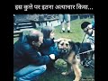 मालिक अपने कुत्ते को बहुत मारता था... 🥺 dog story in hindi dog friendship story shorts