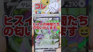 【SR◯◯◯の仲間たちの予感⁉️】ポケモンカード強化拡張ハイクラスパックVstarユニバースをカイSAR狙いで開封します😆【⚠️ポケカ販売情報コメント欄です⚠️】