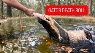 Death Rolling 10ft Gator
