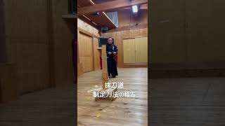 厚紙を使って抜刀道制定刀法の稽古　#居合道 #抜刀道 #martialarts #居合斬り 一宮市 #sword #karate