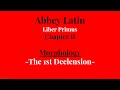 Abbey Latin - Liber Primus - Chapter II - Morphology of the 1st Declension