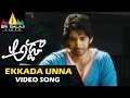 Adda Video Songs | Ekkada Unna Video Song | Sushanth, Shanvi | Sri Balaji Video