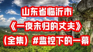 山东省临沂市《一夜未归的丈夫》（全集）#监控下的一幕