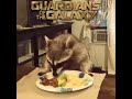 raccoon finally gets his taco