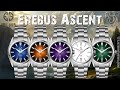 Erebus Ascent | Full Production Review