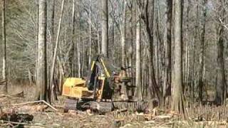 Tigercat 845C feller buncher