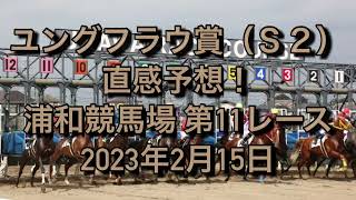 ユングフラウ賞（Ｓ２） 直感予想！ 浦和競馬場  第11レース 2023年2月15日