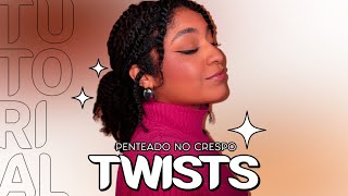 Tutorial de penteado twist no cabelo crespo natural - TIPO4