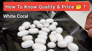 white Coral price 🤔 | सफेद मूंगा की कीमत कैसे पता करें