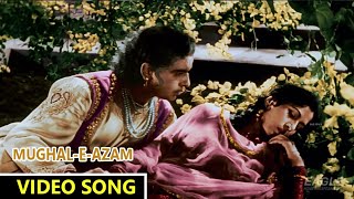 Prem Jogan Ban Ke Video Song || Mughal E Azam Movie || Bade Ghulam Ali Khan || Eagle Mini