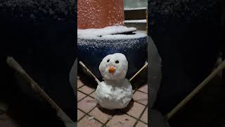 【雪だるま☃️】大寒波何年ぶりやろ雪積もるの