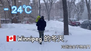 🇨🇦零下漫長的冬天😱|分享申請曼省省提名MPNP|加拿大超市找到台灣商品| Winnipeg Vlog8