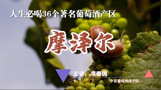 一生必喝的36个葡萄酒产区——（17）摩泽尔