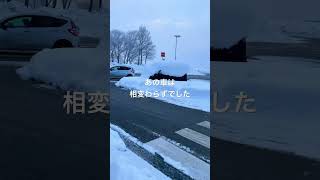 北陸自動車道　有磯海SA（上り）　2025年2月10日