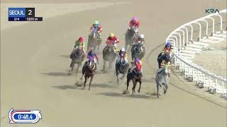 (Seoul) 2023.02.04 R2 Class 6 (1200M) Special Weight A (3yo fillies)