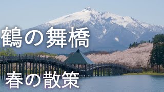 【鶴の舞橋】津軽富士見湖パーク 2000本の桜【青森県鶴田町】4K60P