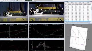 6DoF with TEMA motion analysis software