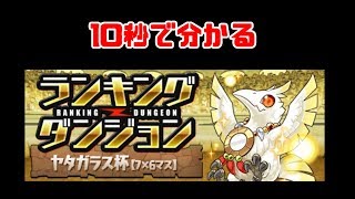 【パズドラ】10秒で分かるヤタガラス杯（7×6マス）編成難易度低め攻略法【ランダン】