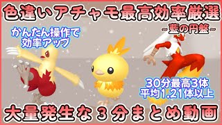 藍の円盤 色違いアチャモ最高効率 大量発生なし3分まとめ30分最高3体平均1.21体以上#ポケモンsv #最高効率 #色違い #アチャモ ＃ワカシャモ #バシャーモ #大量発生なし #藍の円盤