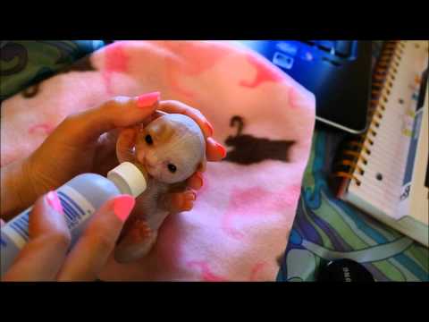 silicone baby kitten