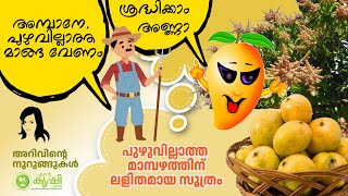 മാമ്പഴത്തില്‍ പുഴു കയറാതിരിക്കാന്‍ എന്തുചെയ്യും ?