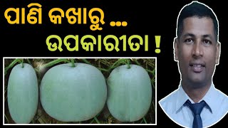 ପାଣିକଖାରୁ ର ଆଶ୍ଚର୍ଯ୍ୟଜନକ ଉପକାରୀତା | Benefit Of Ash Gourd | How to Use Ash Gourd | by bhusan |