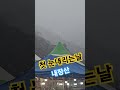 첫눈 노랭이 내장산 눈이와요 탑공연팀 춥다