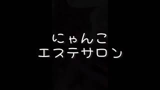 にゃんこエステサロン