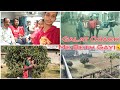 Last Day In Mayka || Bihar To Gujrat Vlog || Very Toughest Byy Ever || Family Chorne Gayi Station