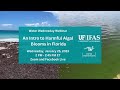 Water Wednesday - An Intro to Harmful Algal Blooms in Florida