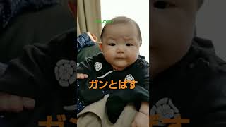 生後3ヶ月 カメラを向けると、カメラ目線でまさかの😲 #shorts