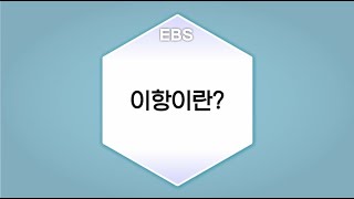 [수학의 답] 방정식과 그 해 - 이항이란?ㅣ중학교1학년