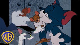 Tom i Jerry po polsku 🇵🇱 | Najwięksi wrodzy przyjaciele wszech czasów 🐱🐭 | @WBKidsInternational​