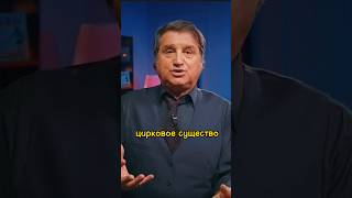 Отар Кушанашвили разнес Хасбика | шоу КАКОВО?! #каково #кушанашвили  #хасбик #shorts