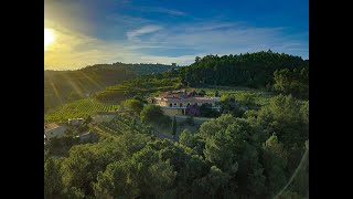 Quinta with own wineyard and villa in the North of Portugal