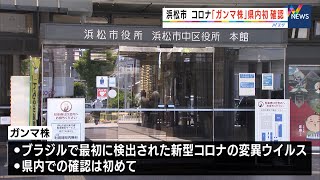 【新型コロナ】静岡県内5人感染 浜松市で県内初のガンマ株確認