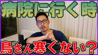 【鳥】病院に行く時の鳥さんの寒さ対策を教えて下さい。＃307