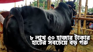 Hazratpur Paragram Hat 2021 || পাড়াগ্রাম হাটের গরুর দাম জানুন • Part 1 • Eid UL Azha • Cow Lover's