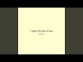 Fragile Shadow Pulse