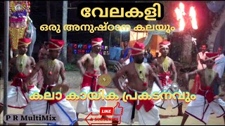 Velakali : വേലകളി ഒരു അനുഷ്ഠാന കലയും കലാ കായിക പ്രകടനവും #prmultimix